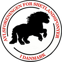 Shetlandsponyen Logo